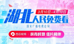 吃瓜爆料封面素材视频大全,封面素材视频大全大揭秘